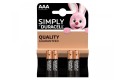 Thumbnail of duracell-basic-alkaline-aaa-batteries_239711.jpg