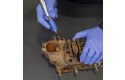 Thumbnail of mini-air-blow-gun-with-venturi-tip_647749.jpg