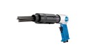 Thumbnail of needle-scaler_646553.jpg
