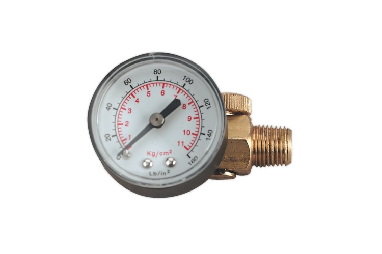 In-Line Regulator with Gauge