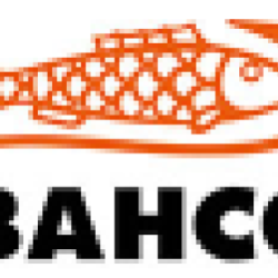 Bahco