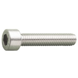 Socket Cap Screw Gr.12.9 Zinc Plated DIN192 (165)